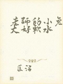 老师的小兔子好大好软水