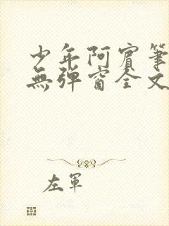 少年阿宾笔趣阁无弹窗全文免费阅读