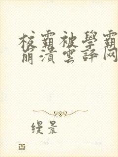 校霸被学霸玩到崩溃云译网