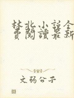 林北小说全文免费阅读最新章节