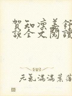 贺知凛姜舒意小说全文阅读在线笔趣封面