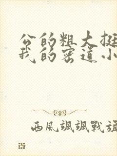 公的粗大挺进了我的密道小说封面