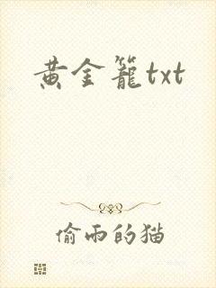 黄金笼txt