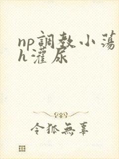 np调教小荡货h灌尿