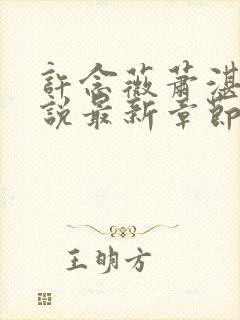 许念薇萧湛明小说最新章节免费阅读封面