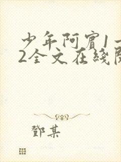 少年阿宾1一72全文在线阅读封面