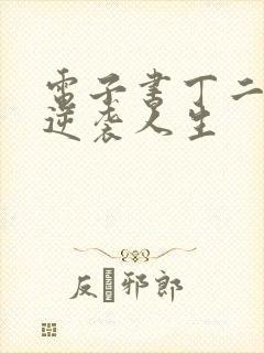 电子书丁二狗的逆袭人生