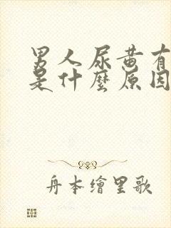 男人尿黄有泡沫是什么原因