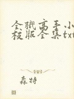 全职高手小说精校版全集txt