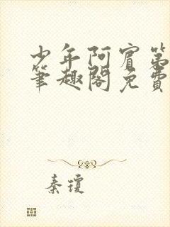 少年阿宾第二章笔趣阁免费阅读