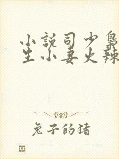 小说司少枭宠重生小妻火辣辣