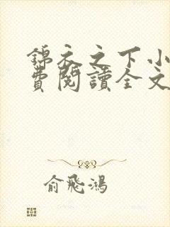 锦衣之下小说免费阅读全文无删减