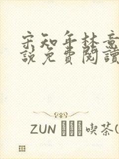 宋知年林意棠小说免费阅读封面