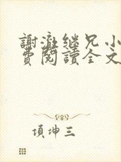 谢澈继兄小说免费阅读全文无弹窗封面