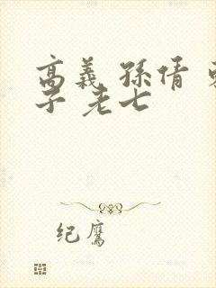 高义 孙倩 东子 老七封面