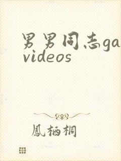男男同志gay videos
