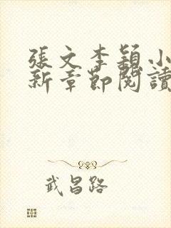 张文李颖小说最新章节阅读封面