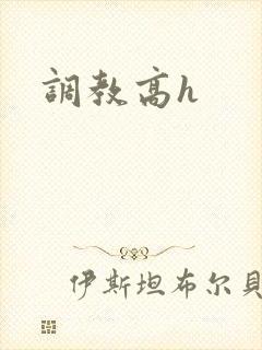 调教高h封面