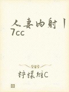 人妻内射丨z77cc