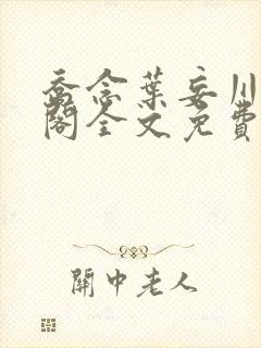 乔念叶妄川笔趣阁全文免费