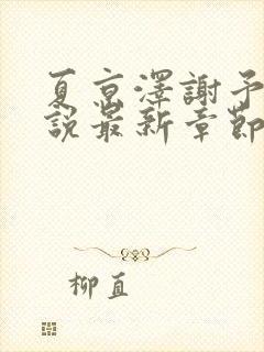 夏京泽谢予薇小说最新章节更新内容