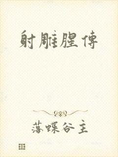 射雕腥传封面