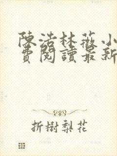 陈浩林薇小说免费阅读最新章节更新