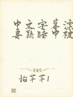 中文字幕漂亮人妻熟睡中被公侵犯的