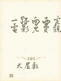 一路向西完整版电影免费观看国语封面