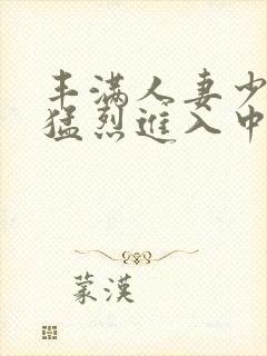 丰满人妻少妇被猛烈进入中文字幕封面