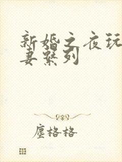 新婚之夜玩弄人妻系列封面