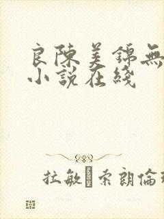 良陈美锦无删减小说在线