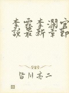 李霖李澜官场小说最新章节