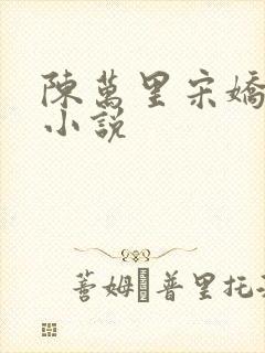 陈万里宋娇娇姐小说