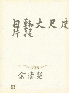 日韩大尺度床戏片段