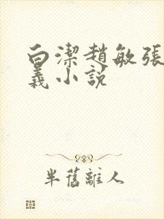 白洁赵敏张倩高义小说