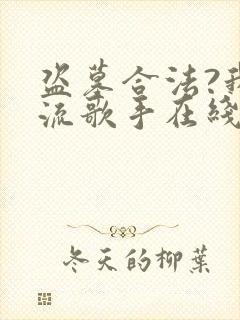 盗墓合法?我顶流歌手在线盗墓畅听