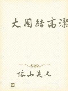 大团结高洁封面