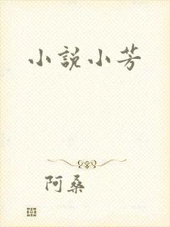 小说小芳