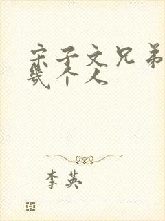 宋子文兄弟姐妹几个人