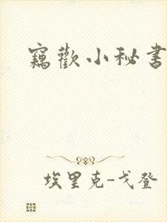 窃欢小秘书