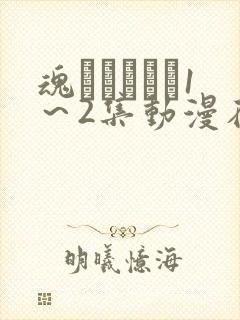 魂インサート1～2集动漫在线观看
