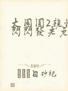 大团圆2亲情会闪闪发光免费