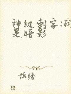 神级刺客:我即是暗影