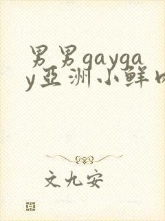 男男gaygay亚洲小鲜肉网站