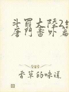 斗罗大陆2绝世唐门番外篇