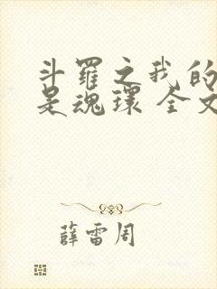 斗罗之我的武魂是魂环 全文