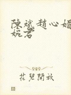 陈斌赵心媚和高婉君