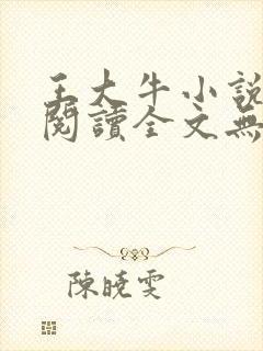 王大牛小说免费阅读全文无弹窗封面