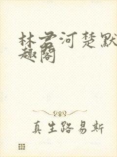 林君河楚默心笔趣阁封面